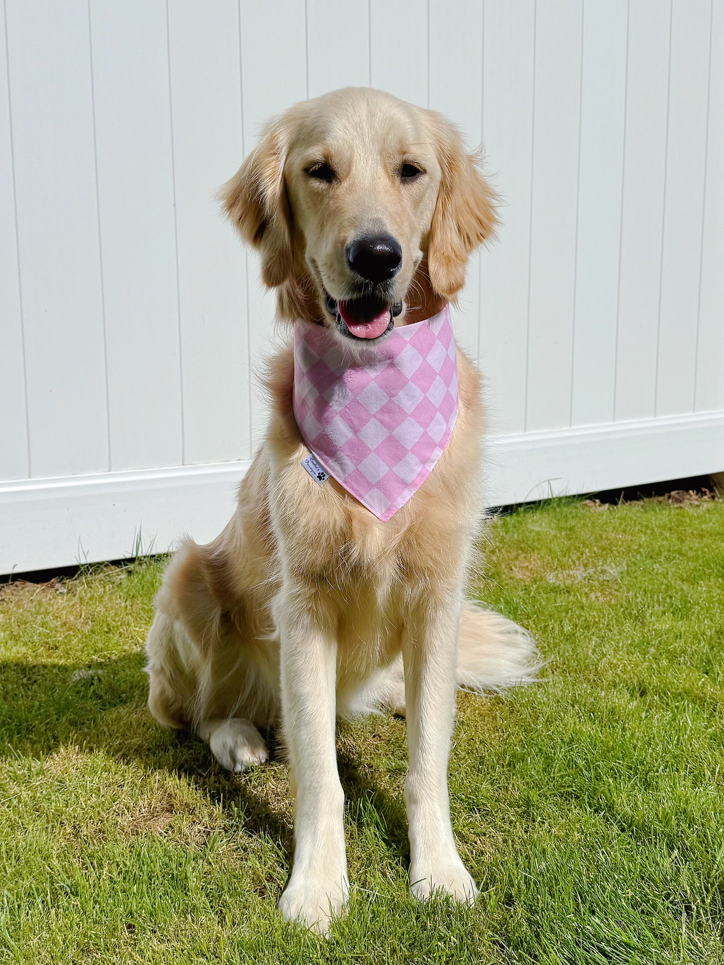 Groovy Checkered Daisies Bandana