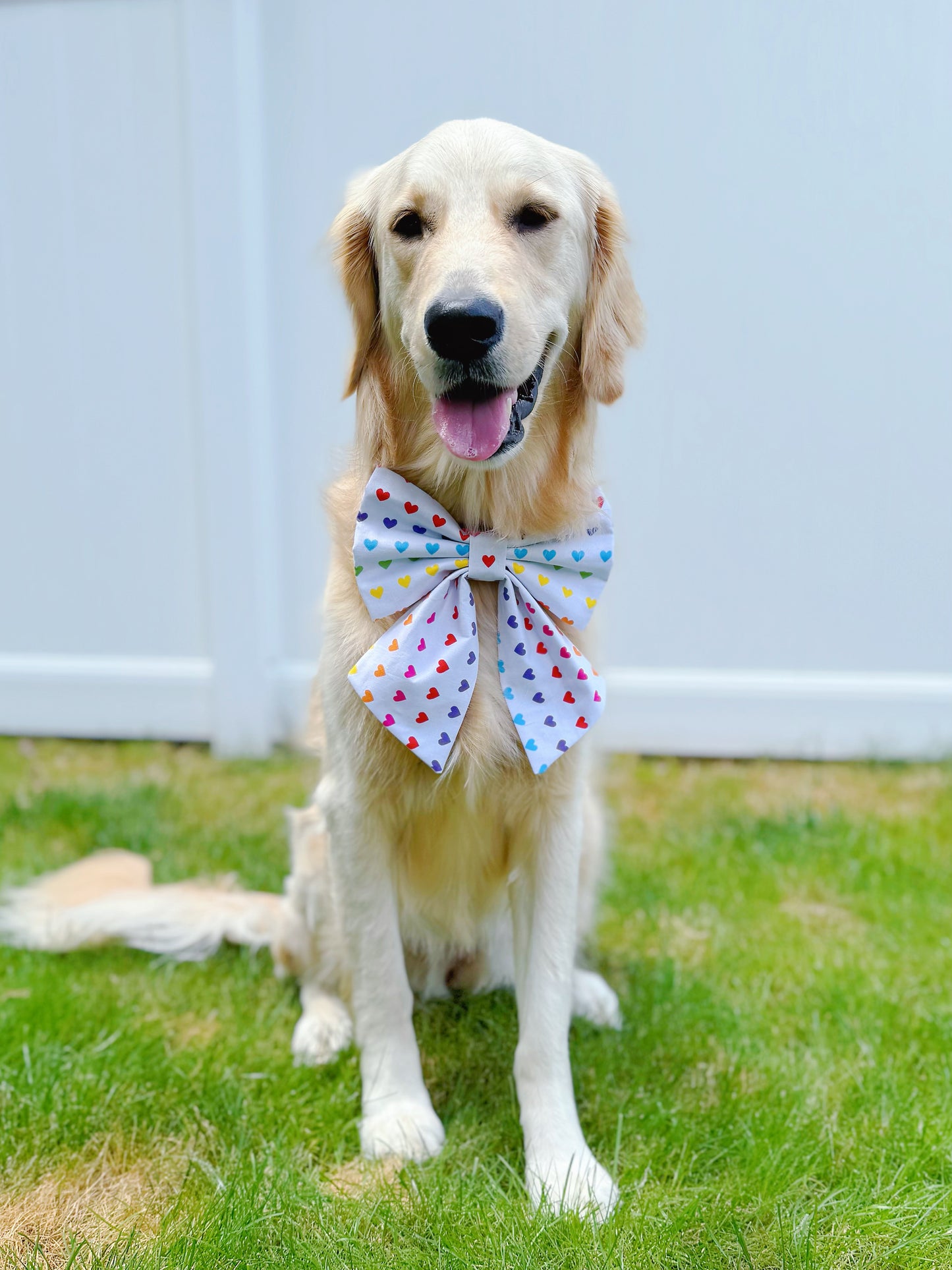 Rainbow Hearts Bow