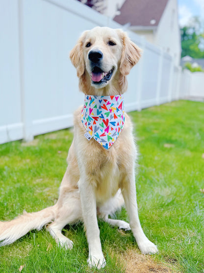 Love Wins Bandana