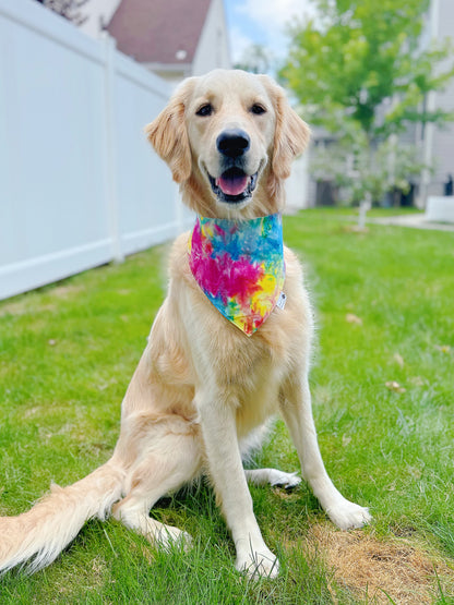 Rainbow Tie Dye And Scrolls Bandana