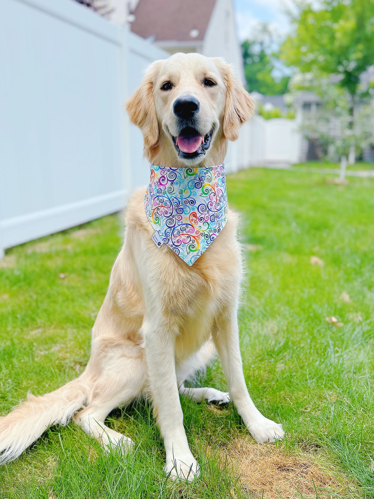 Rainbow Tie Dye And Scrolls Bandana