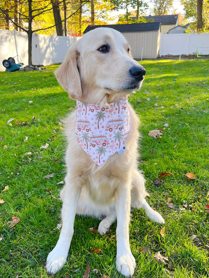 Tropical Flamingos Christmas Bandana