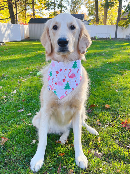 Tropical Flamingos Christmas Bandana