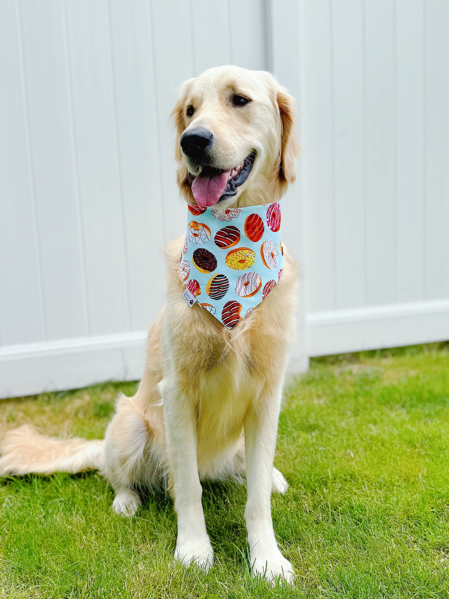 Colorful Donuts Bandana