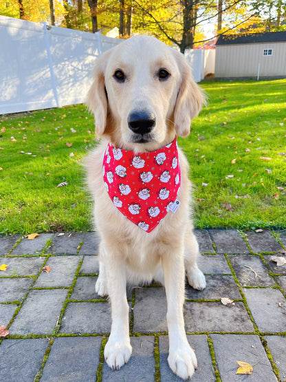 Santa and Snowflakes Bandana