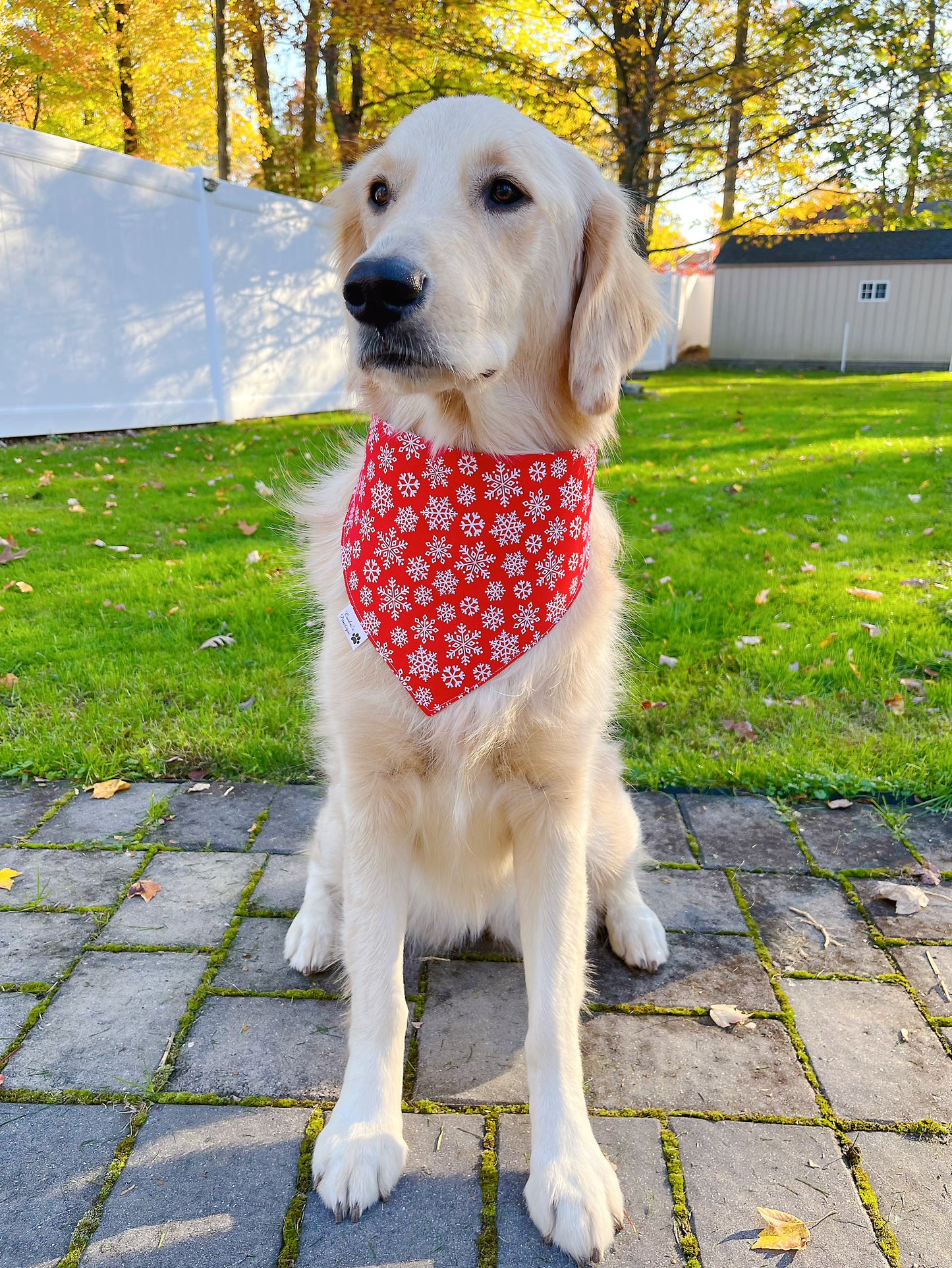 Santa and Snowflakes Bandana