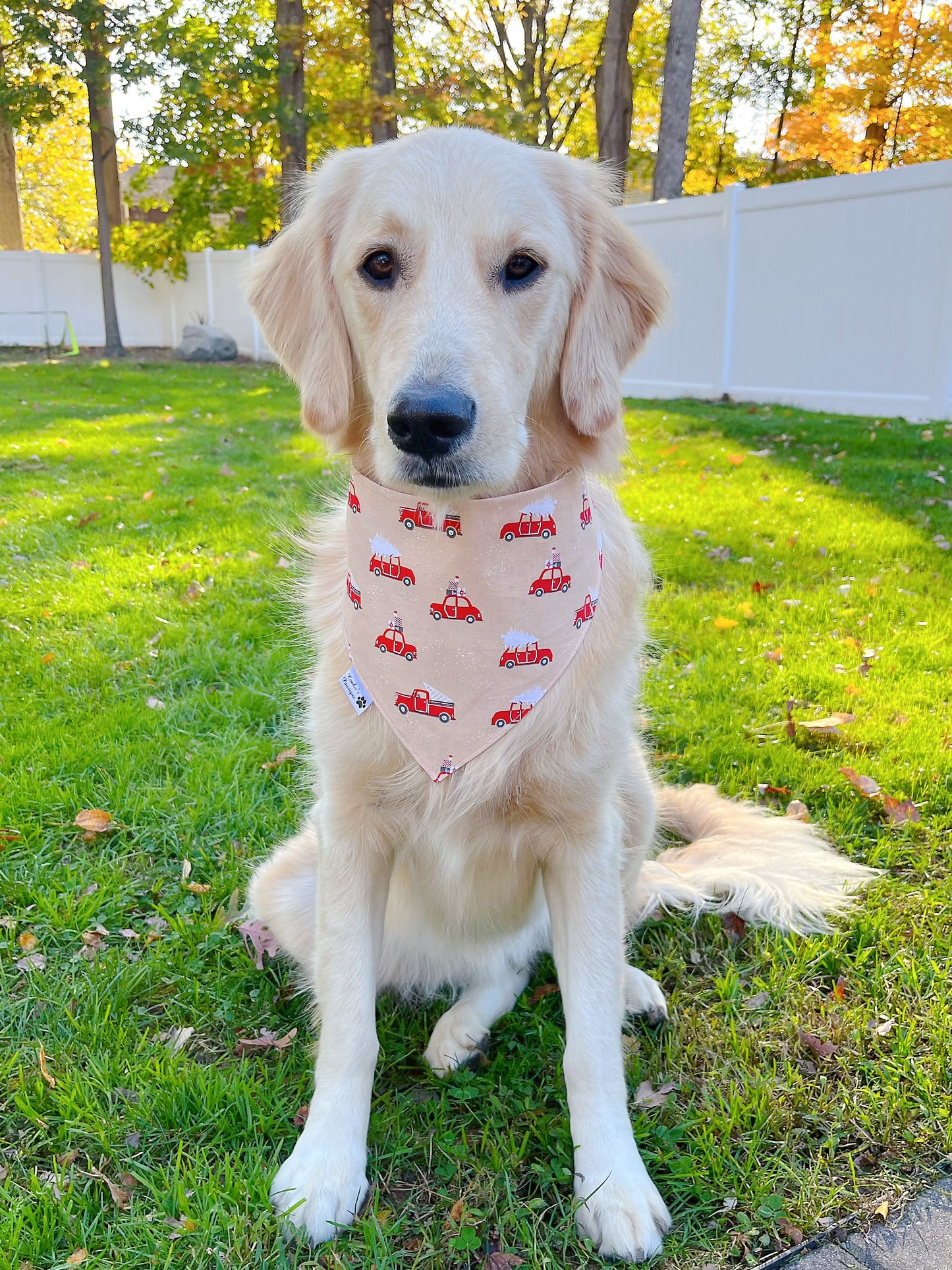 Cowboy Santa and Festive Cars Bandana