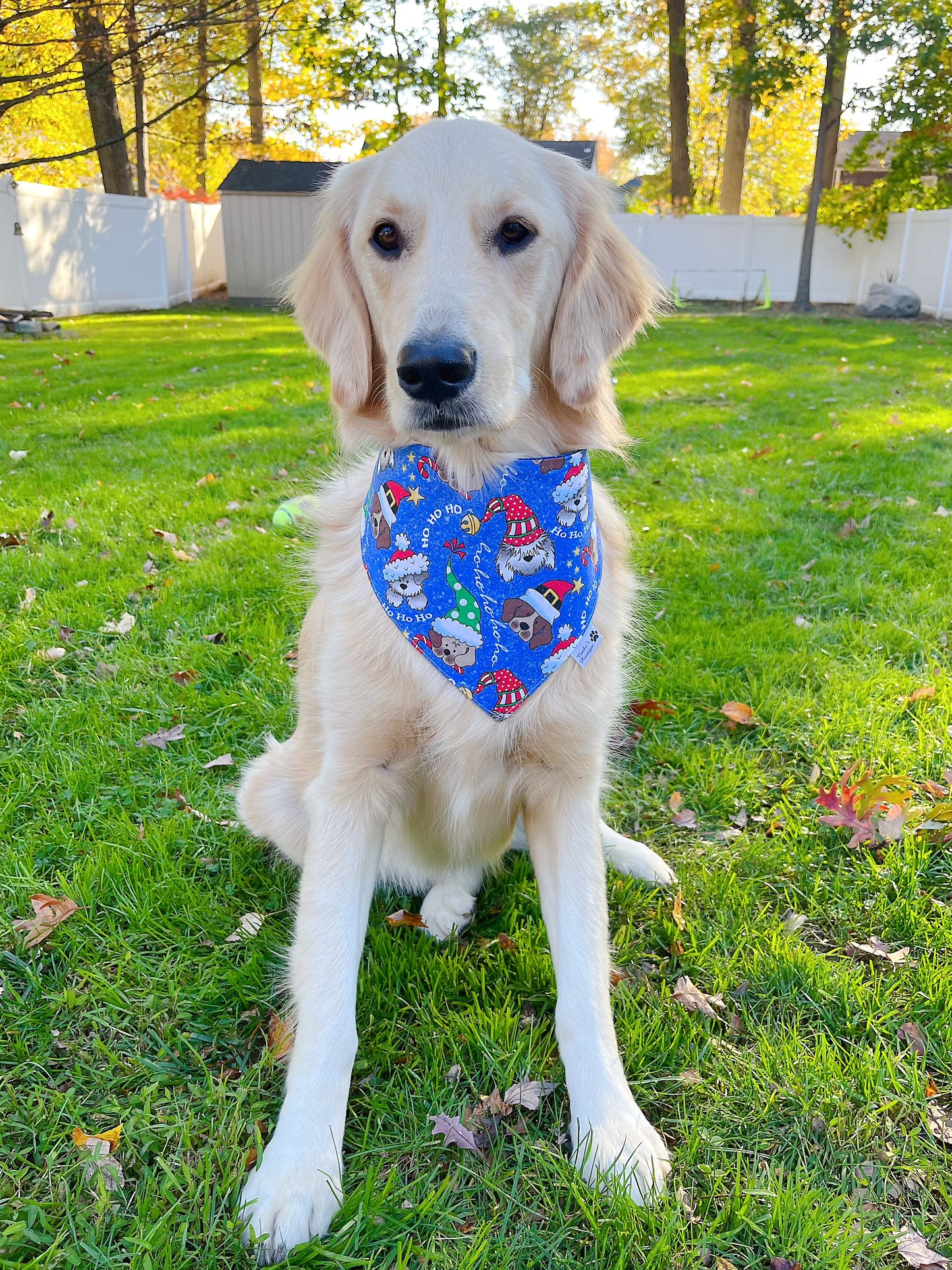 Christmas Pups And Lights Bandana