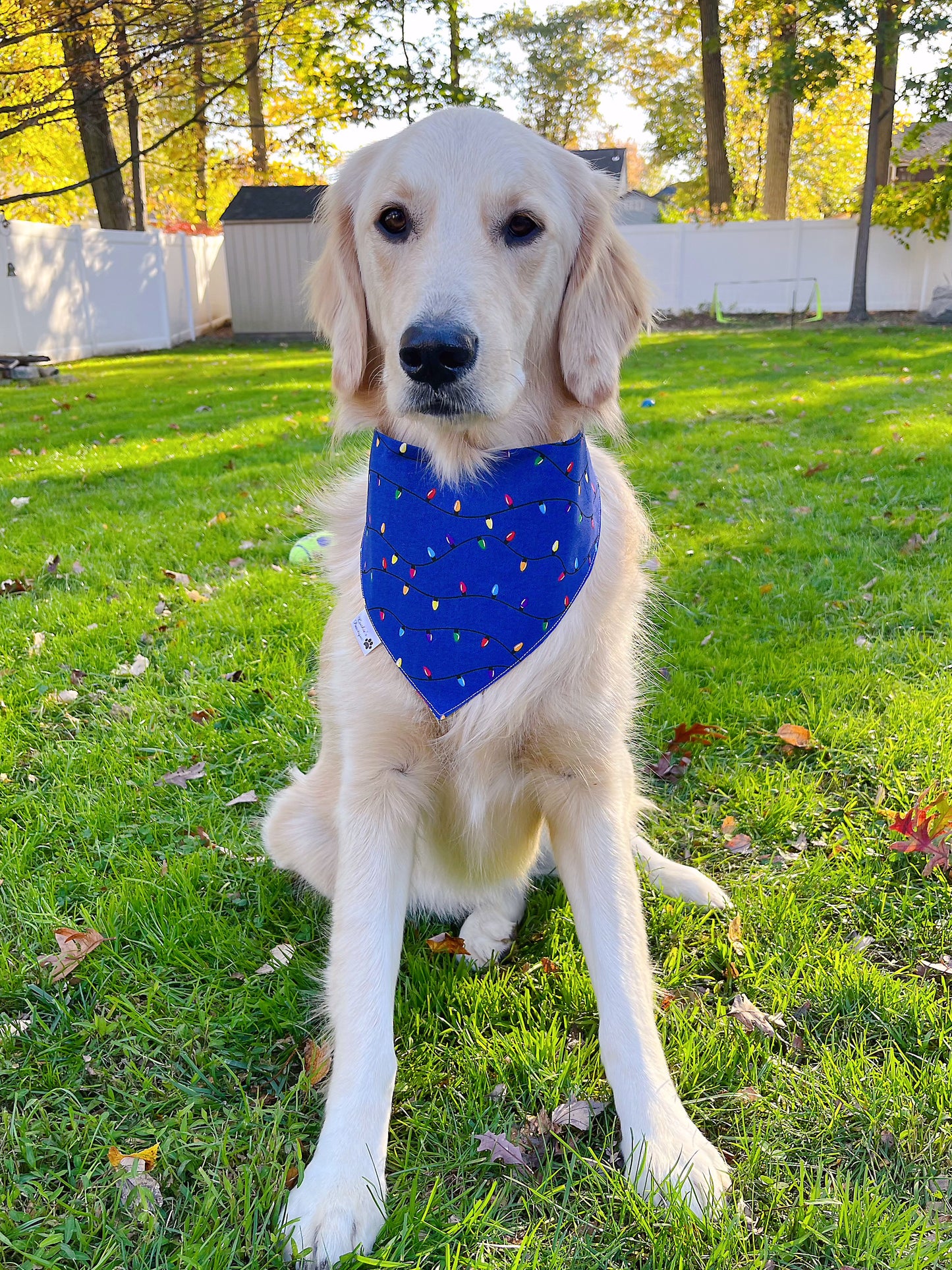 Christmas Pups And Lights Bandana