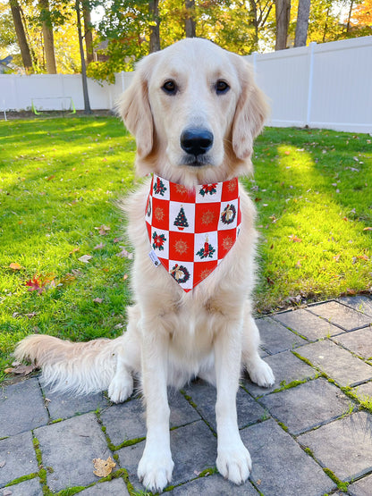 Free Sloppy Kisses Bandana