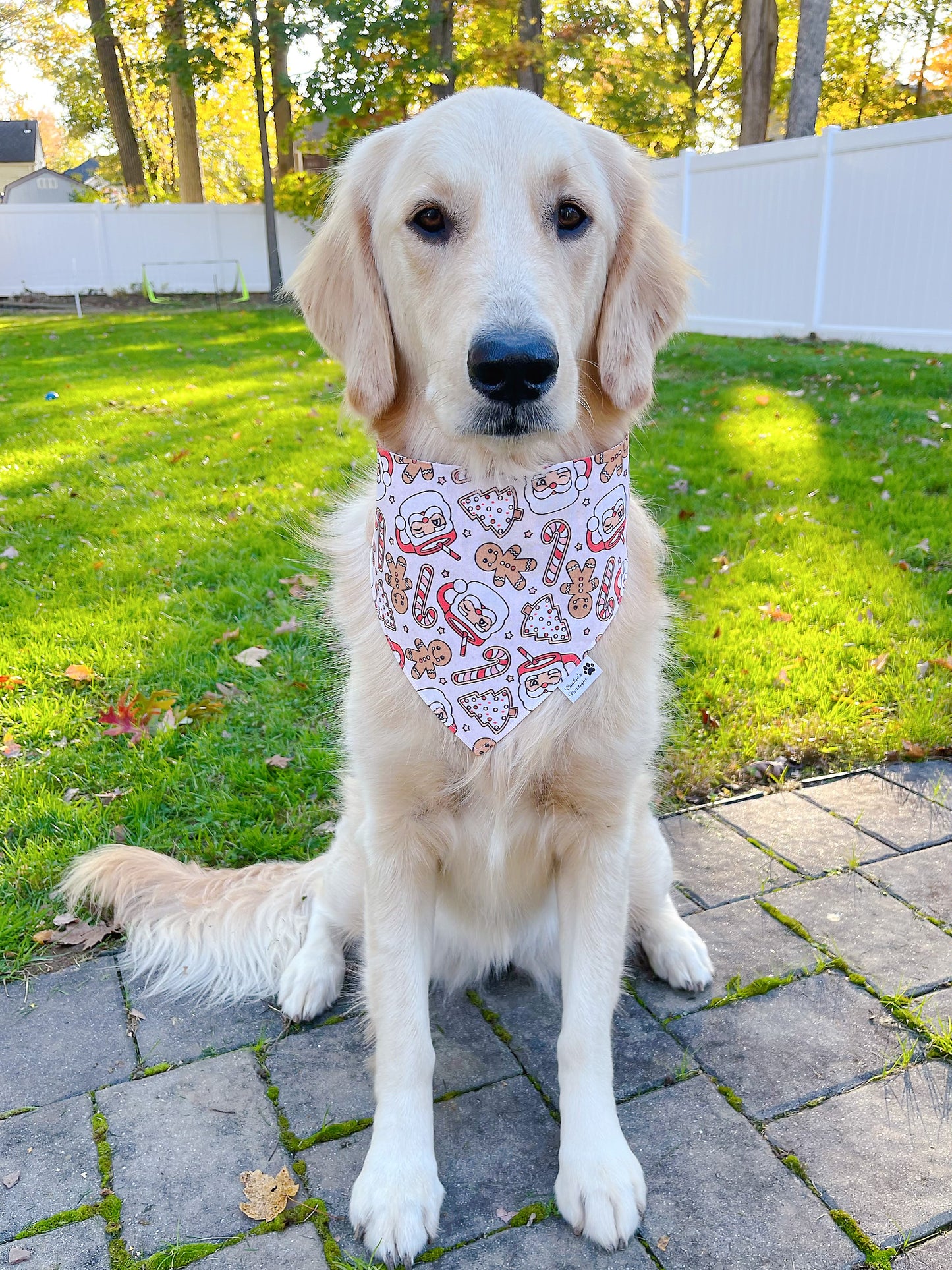 Santa's Treat Bandana