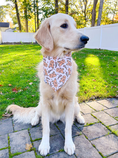 Santa's Treat Bandana