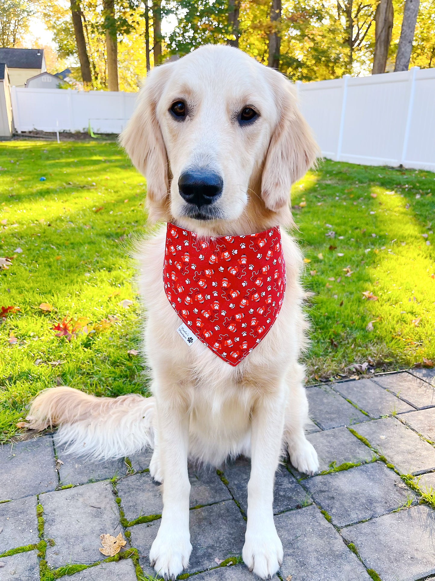 Christmas Dogs Stockings And Mittens Bandana