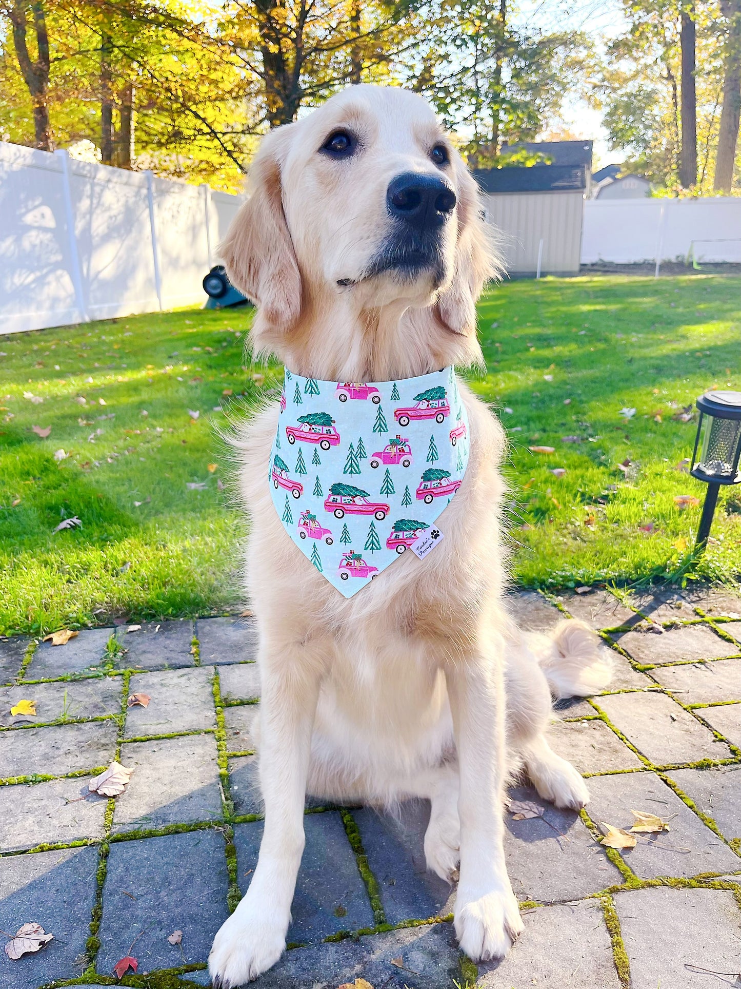 Festive Village on Wheels Bandana