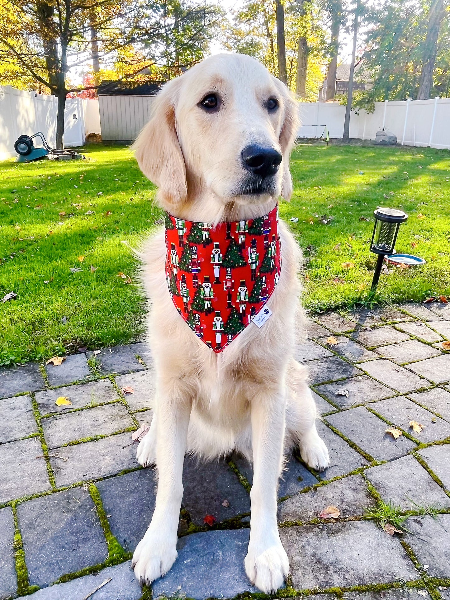 Nutcracker Plaid Holiday Bandana