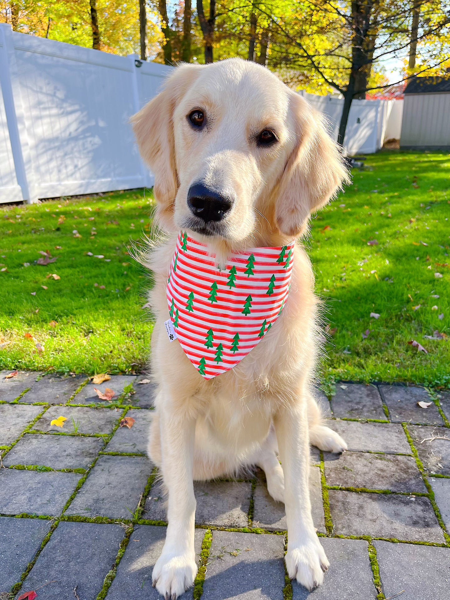 Holiday Truck and Tree Stripe Bandana