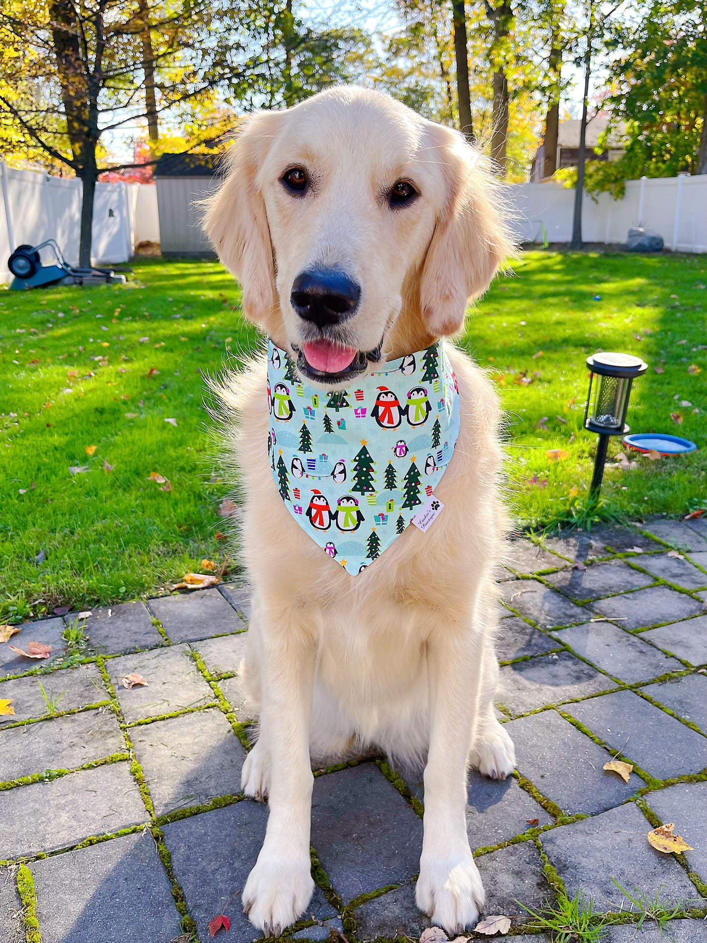 Penguin Glow Holiday Bandana