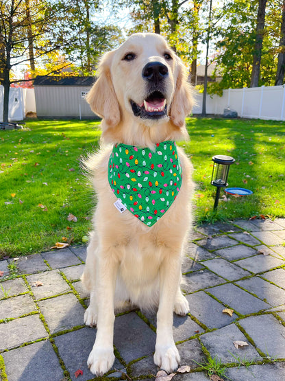 Penguin Glow Holiday Bandana