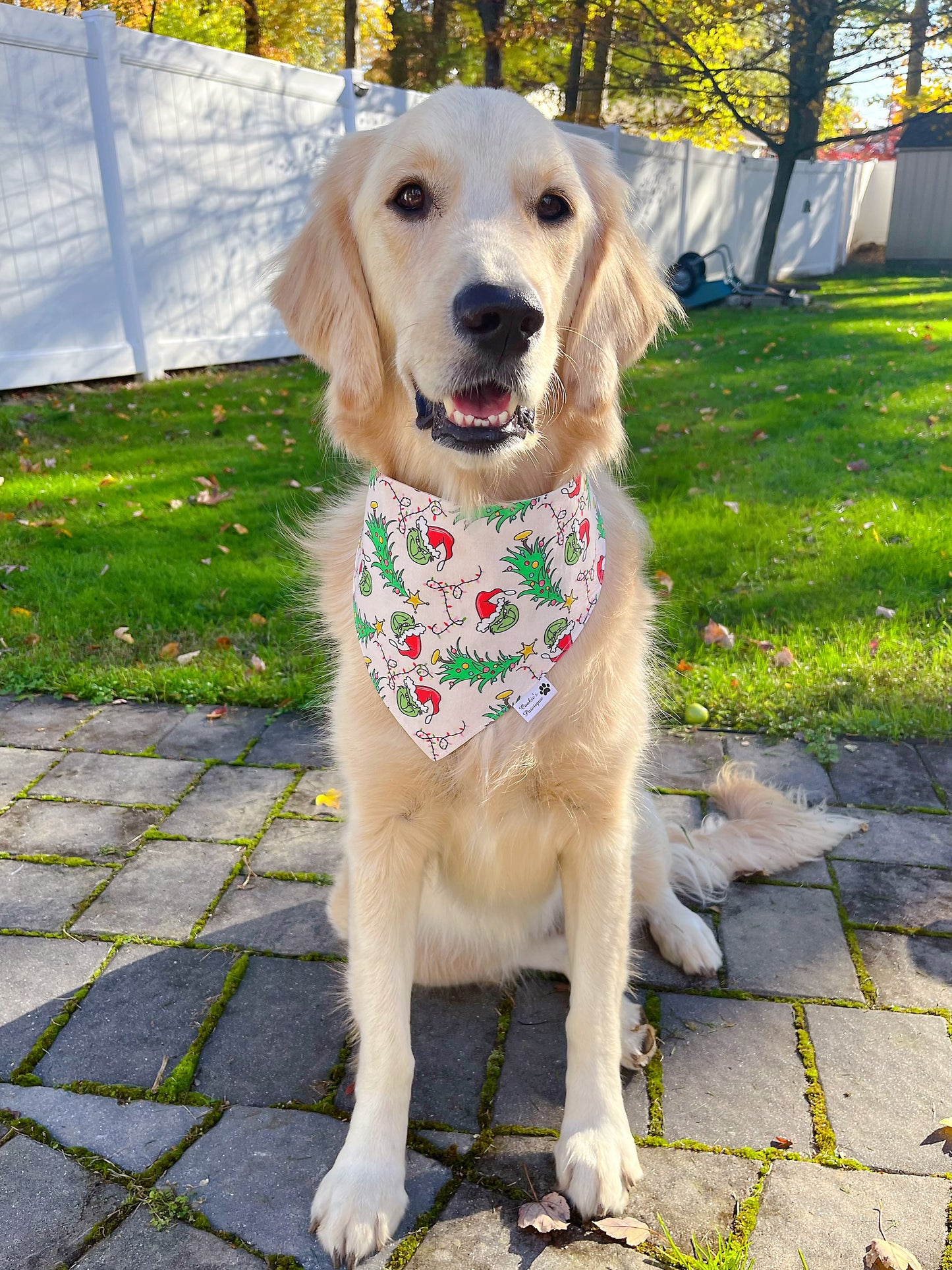 Grinchmas Bandana