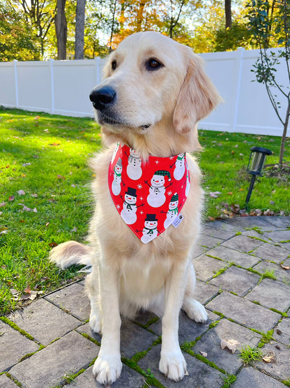 Snowman And Snowflakes Bandana