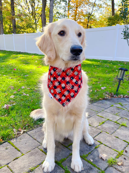 Snowman And Snowflakes Bandana