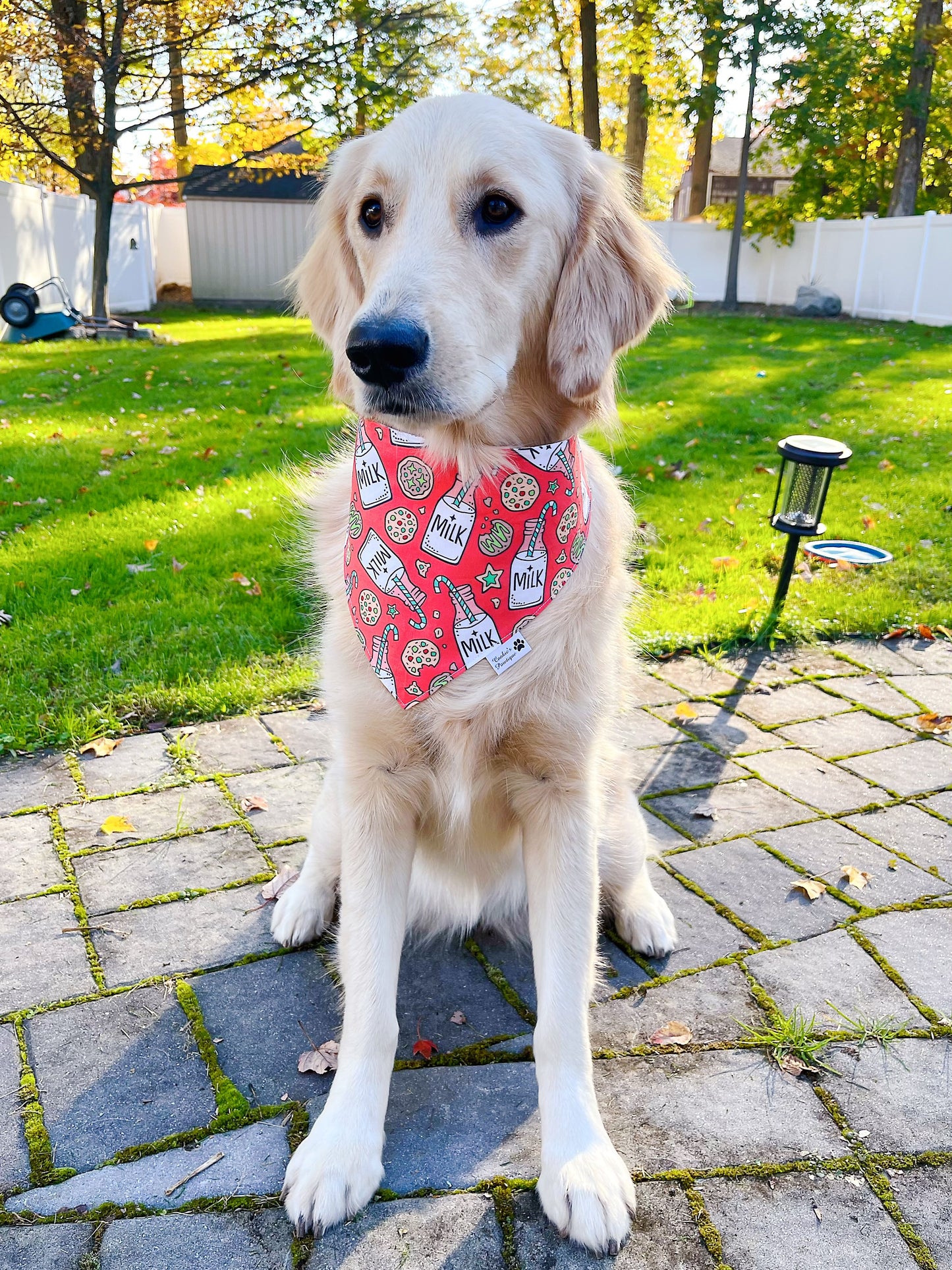 Christmas Milk and Cookies Bandana