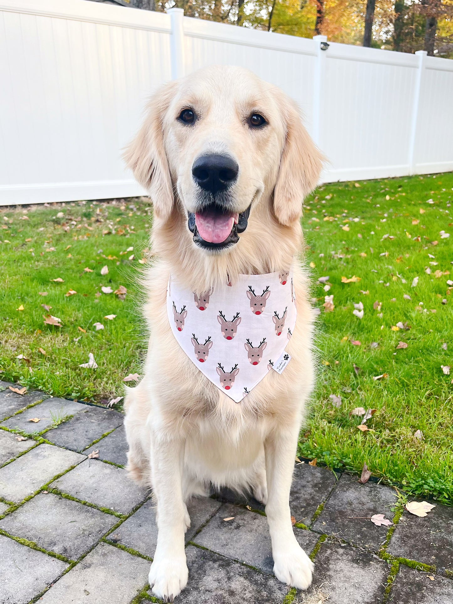 Adorable Reindeer Plaid Bandana