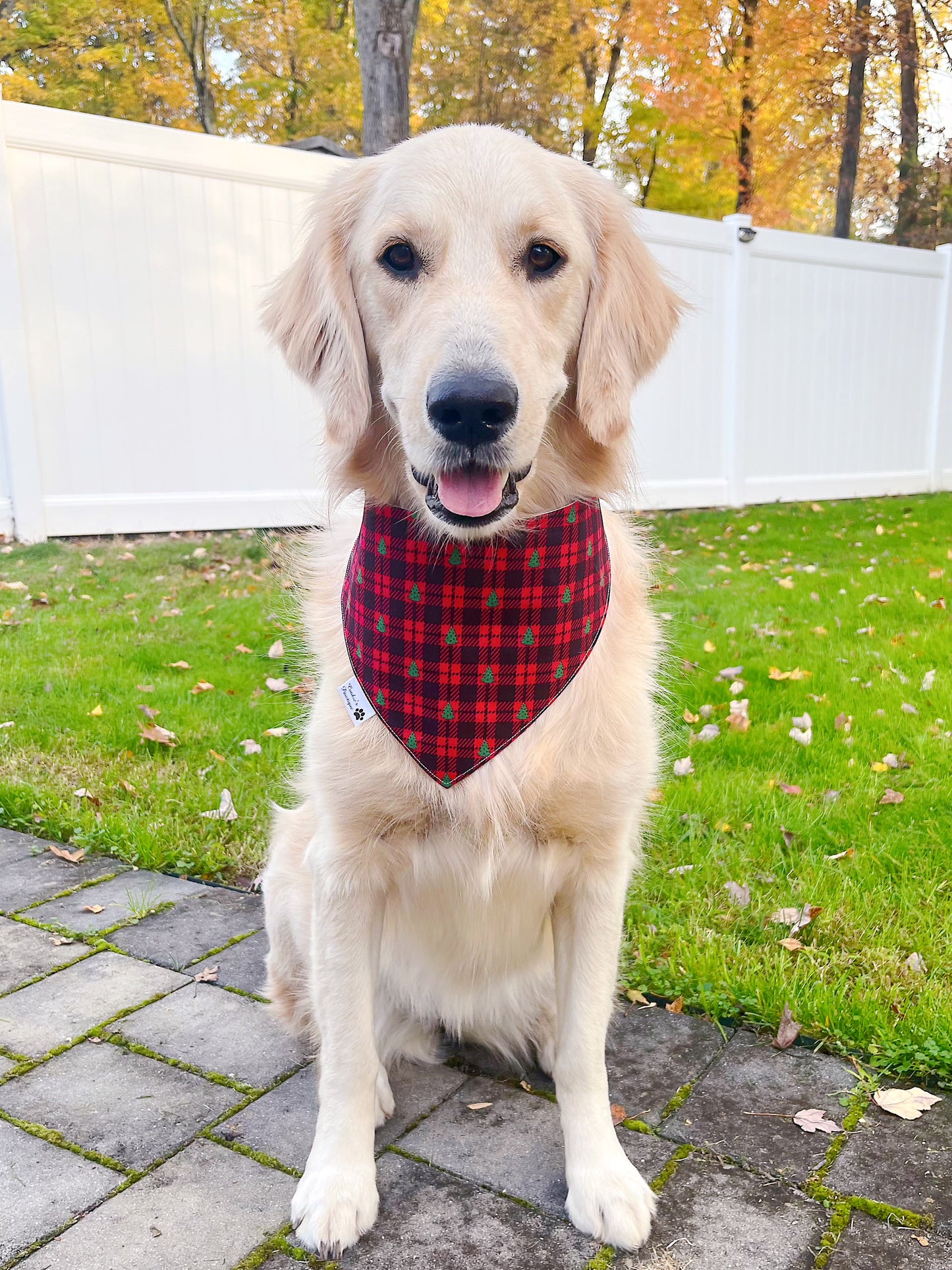 Adorable Reindeer Plaid Bandana