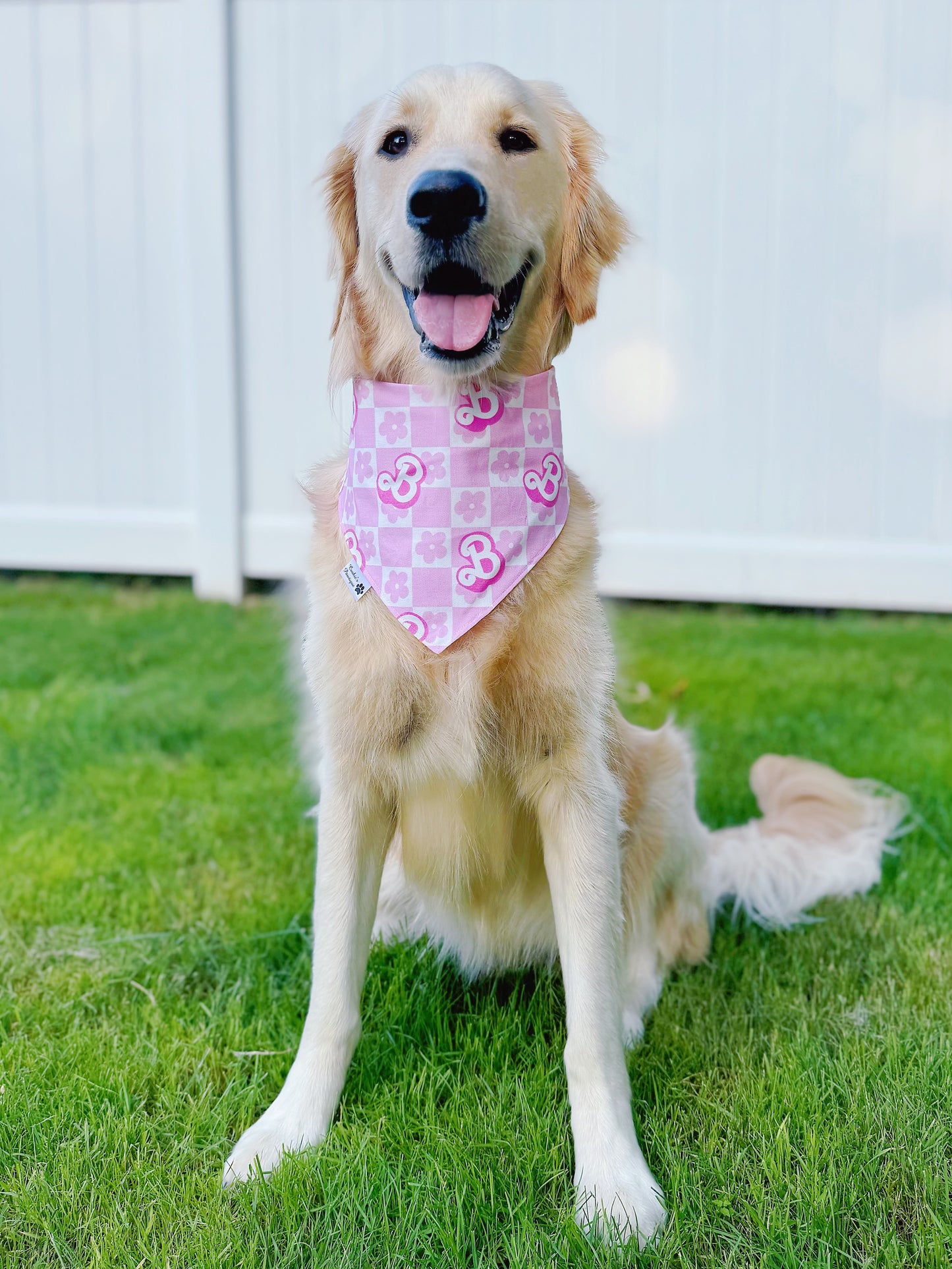 Barbie Roller Skates And Checkered Bandana