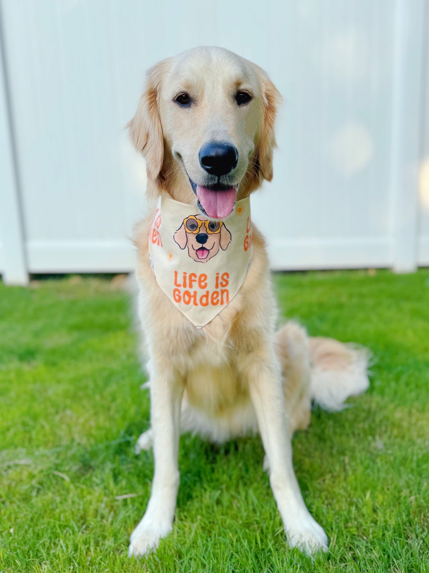 Life Is Golden Bandana