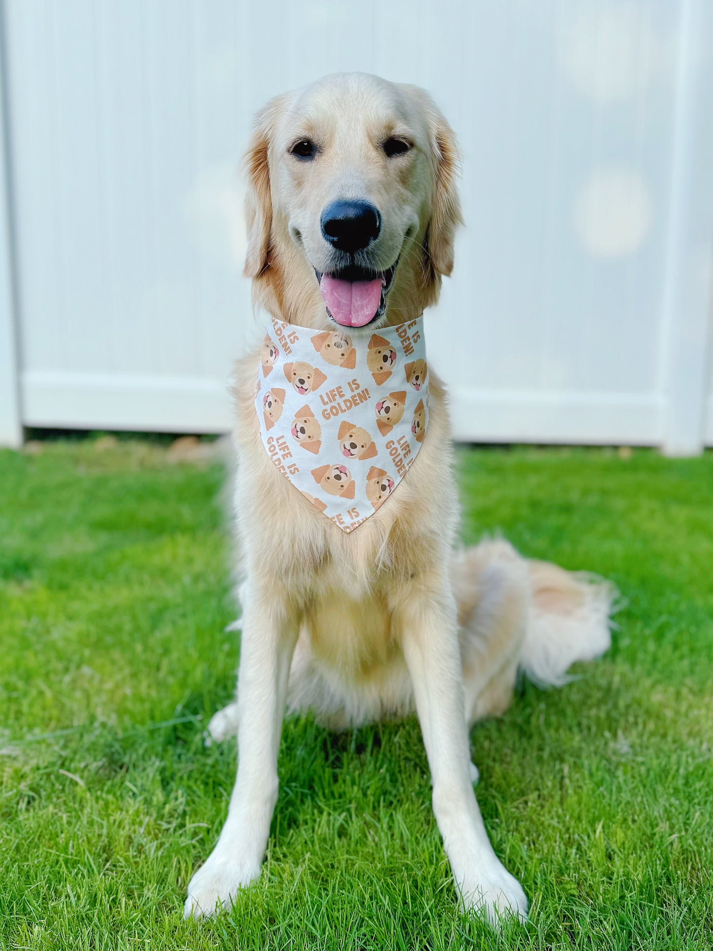 Life Is Golden Bandana