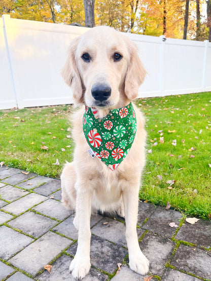 Cute Christmas Trees And Peppermint Ornaments Bandana