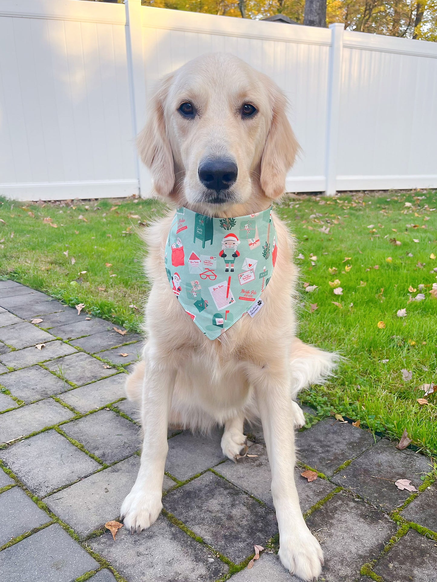 Santa Mail and Holiday Stamps Bandana