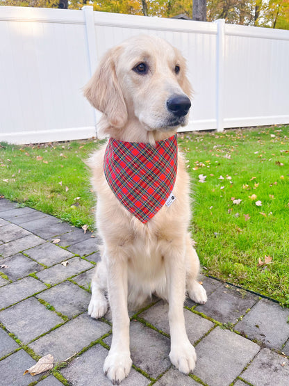 Festive Red Plaid And Trees Bandana