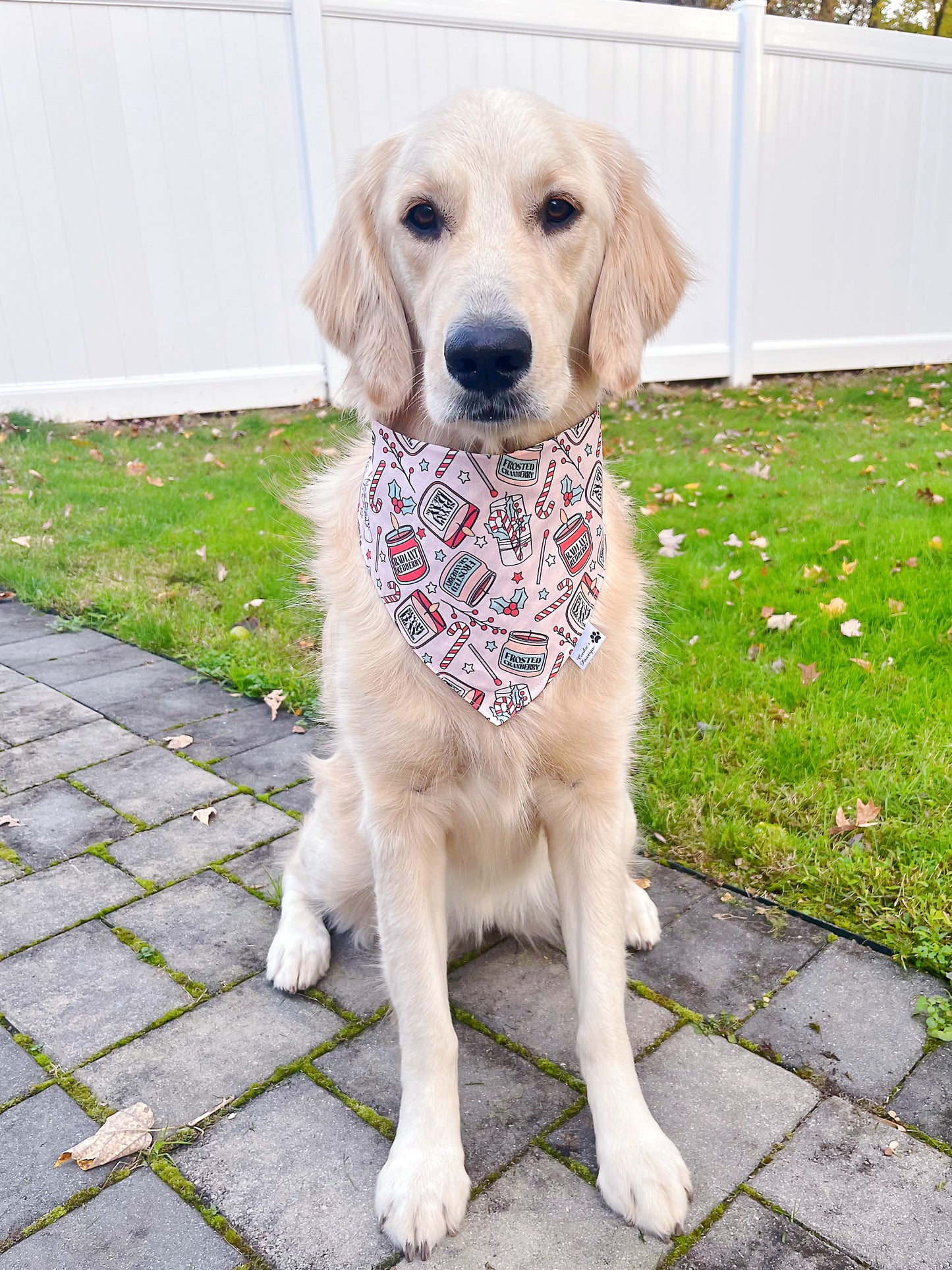 Holly Glow Holiday Bandana