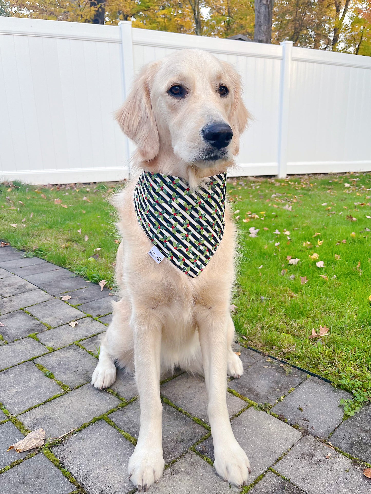 Holly Glow Holiday Bandana