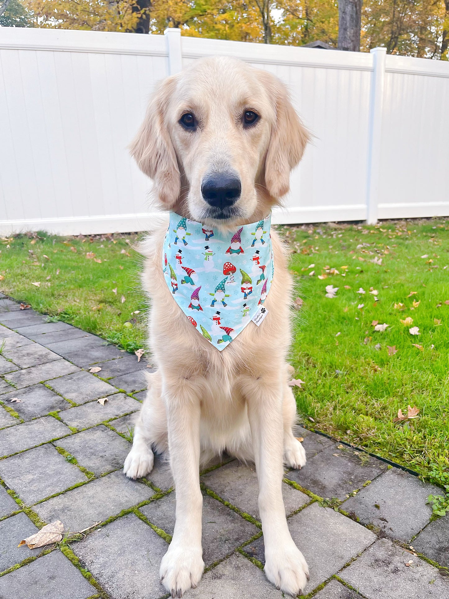 Christmas Gnomes Bandana