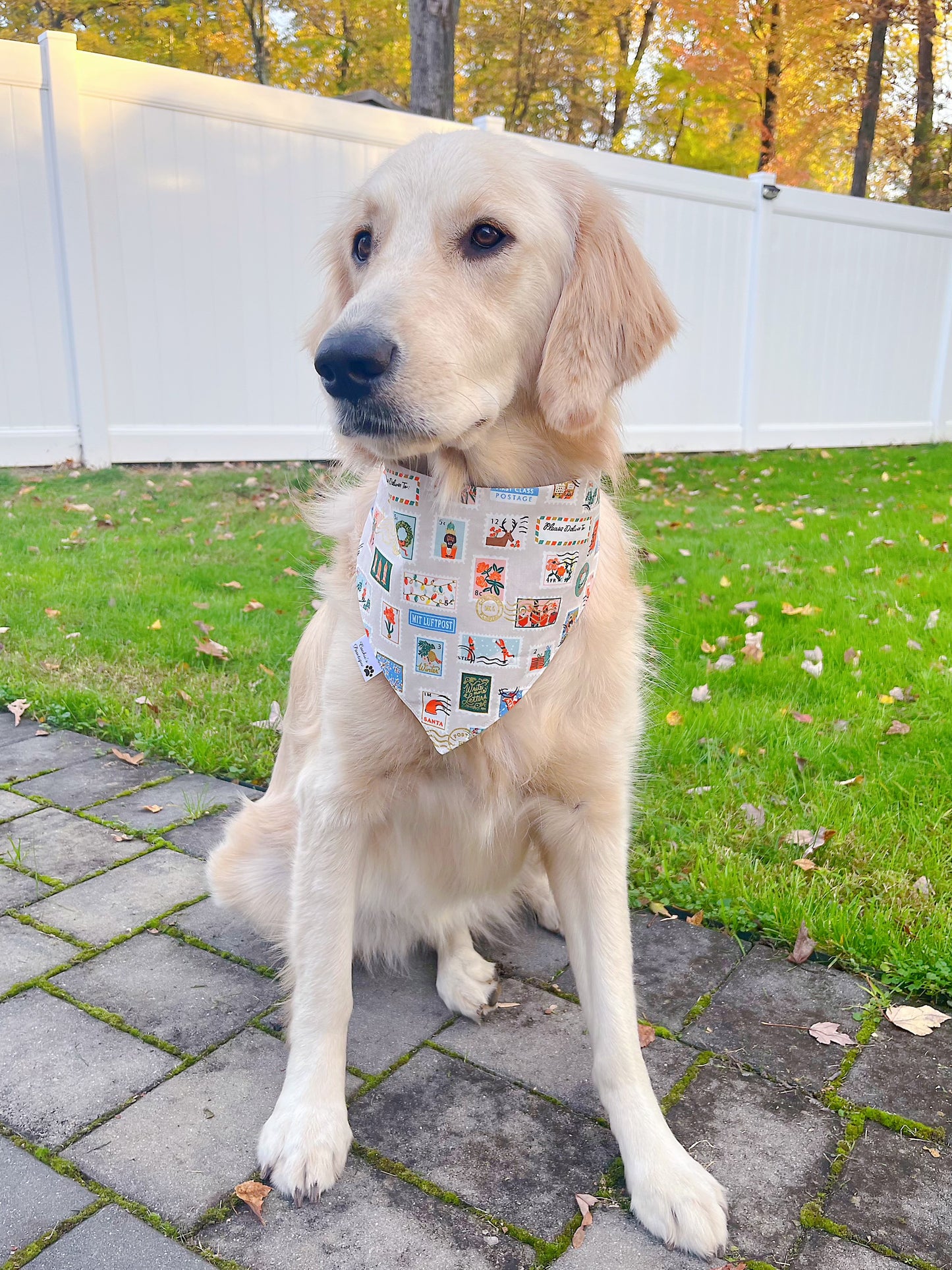 Santa Mail and Holiday Stamps Bandana