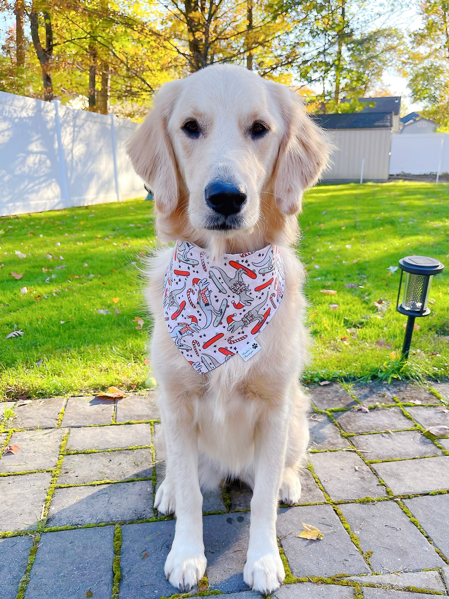 Dino Skater Holiday Bandana