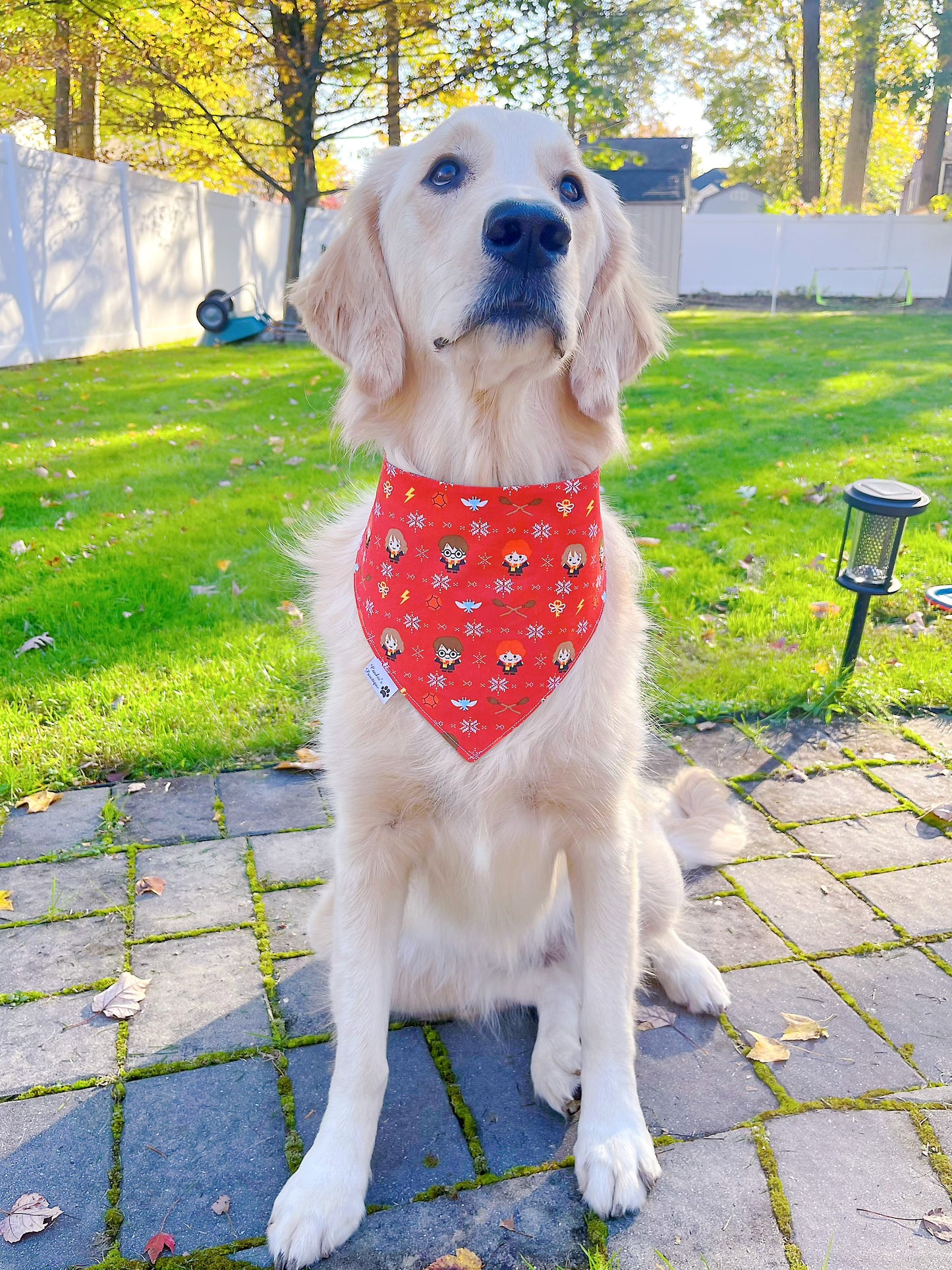 Harry Potter Trio Christmas Bandana