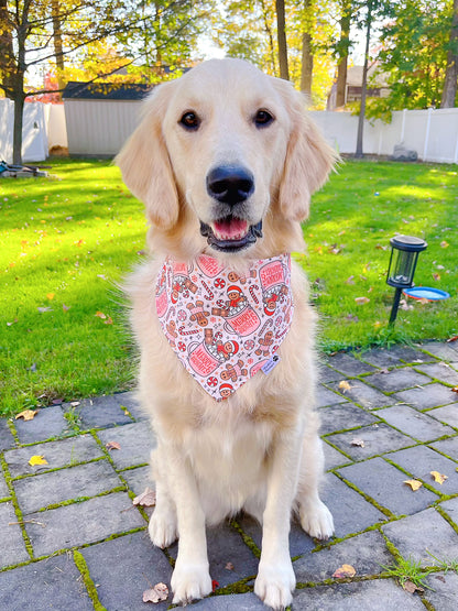 Gingerbread Delight Bandana