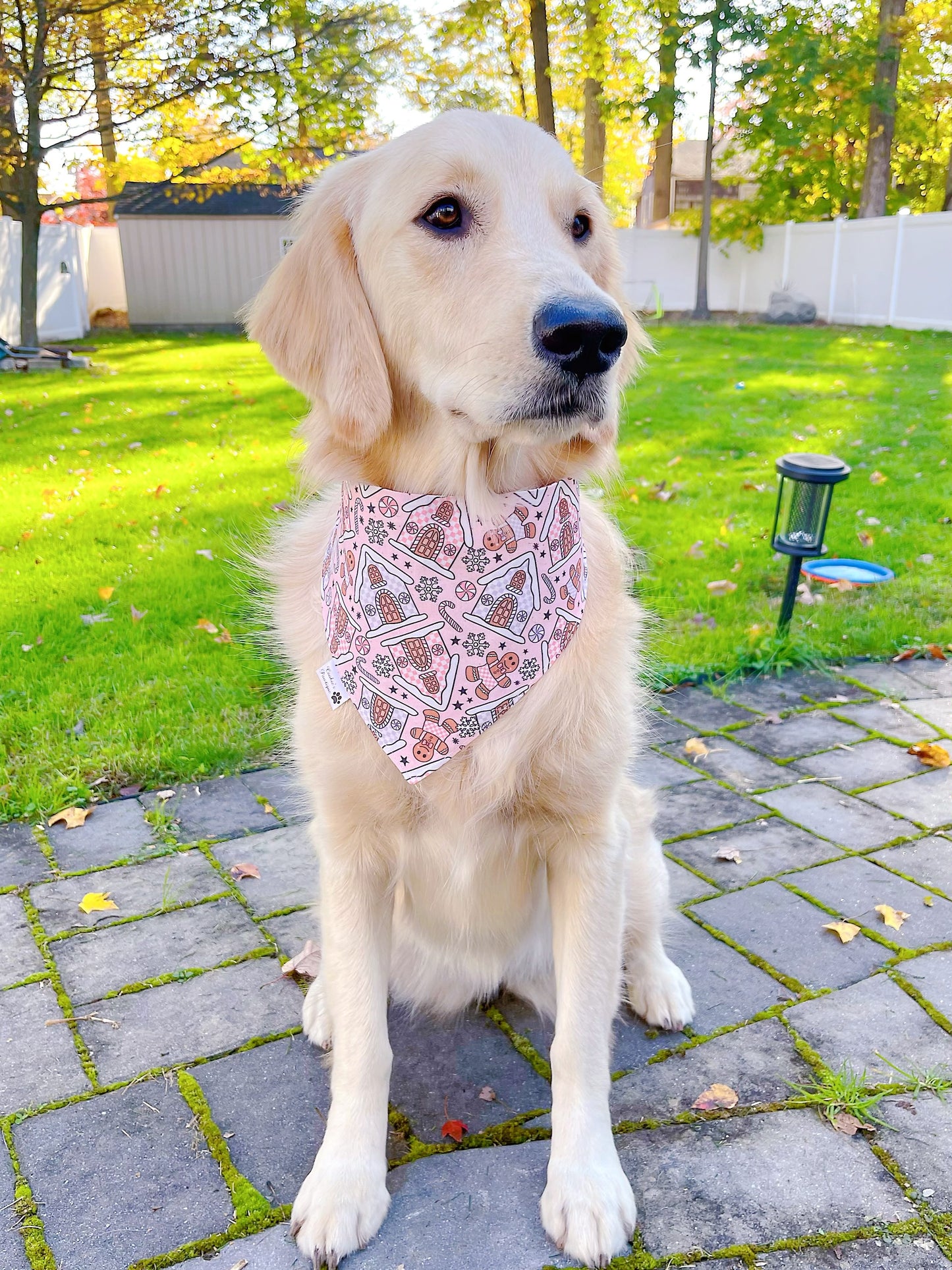 Gingerbread Delight Bandana