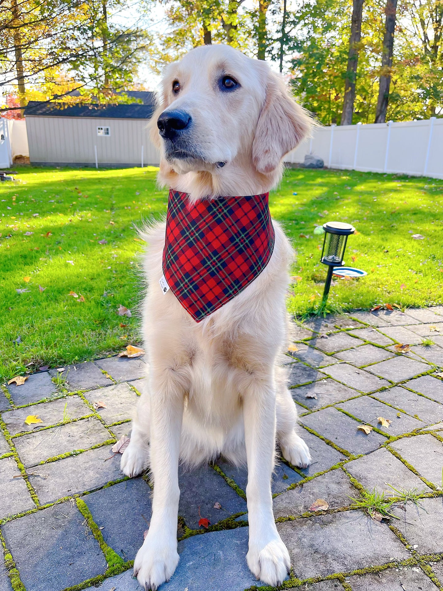 Nutcracker Plaid Holiday Bandana