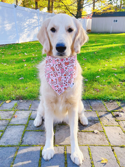 Christmas Dogs Stockings And Mittens Bandana