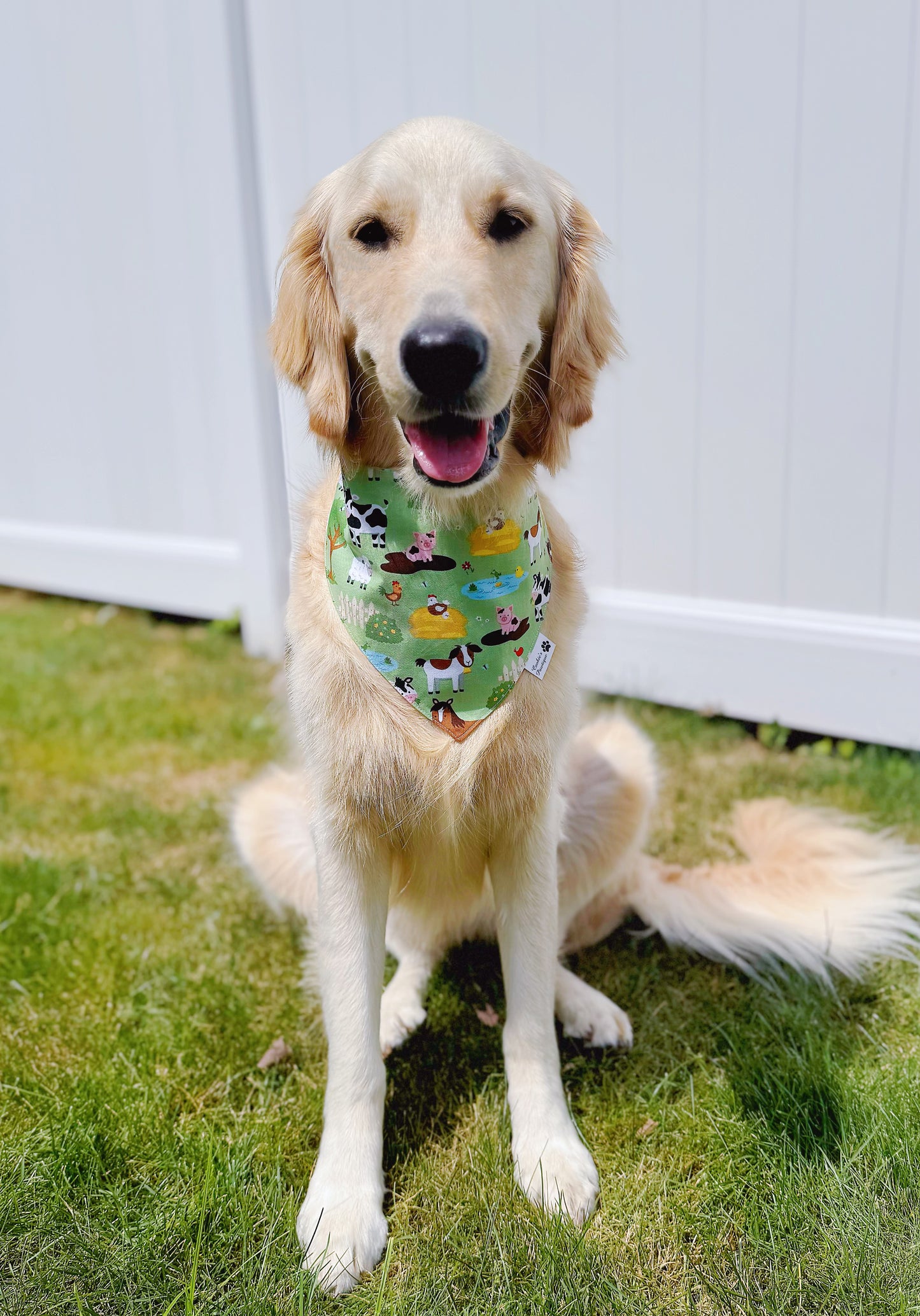 Farm Animals And Tractors Bandana