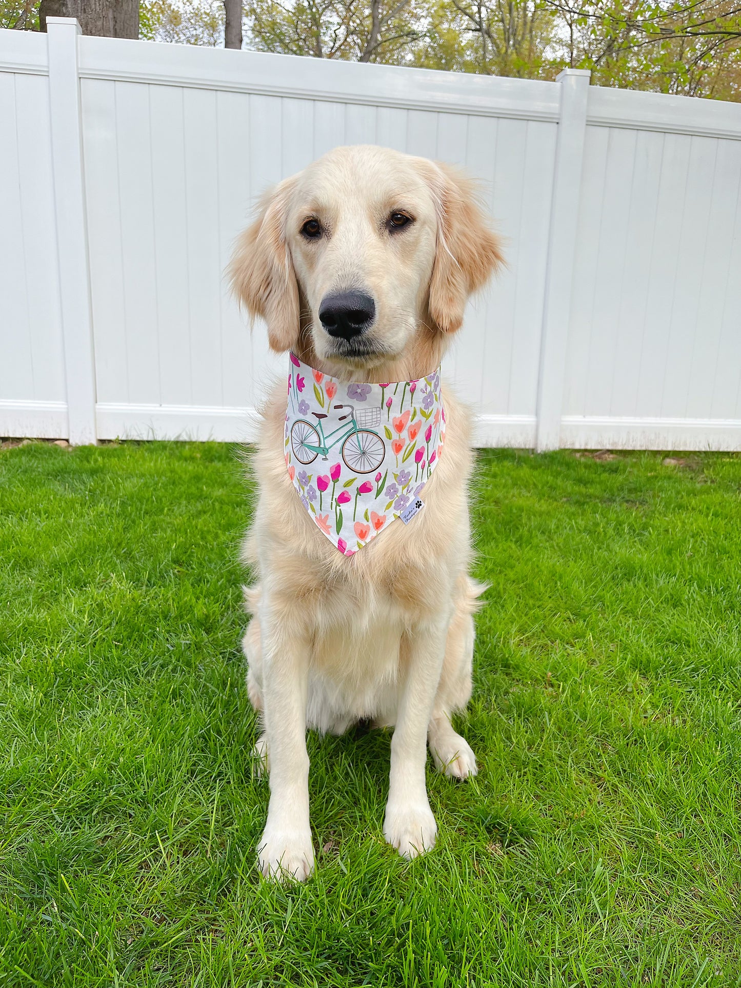 Bicycle And Flower In Spring Bandana