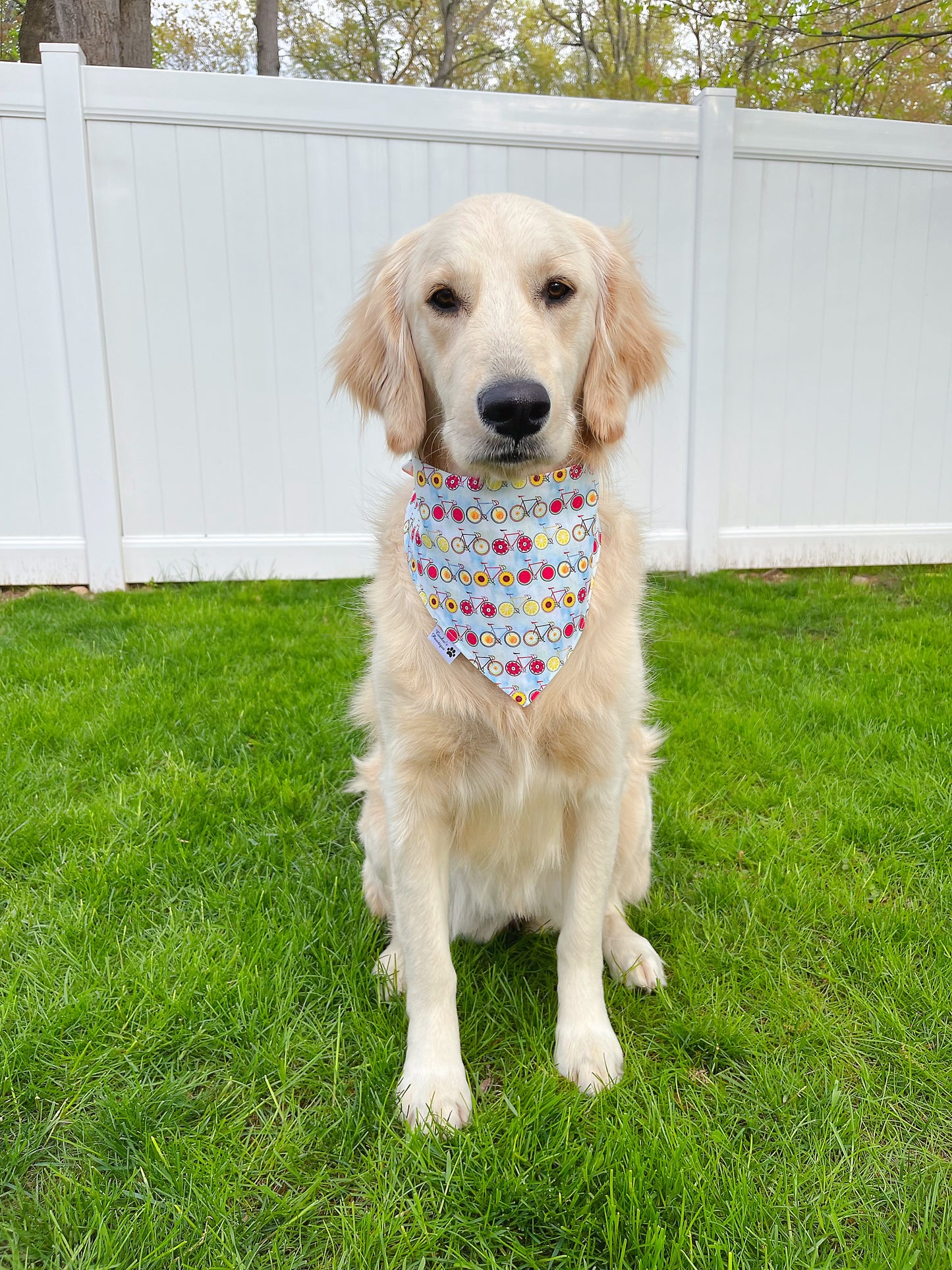 Bicycle And Flower In Spring Bandana