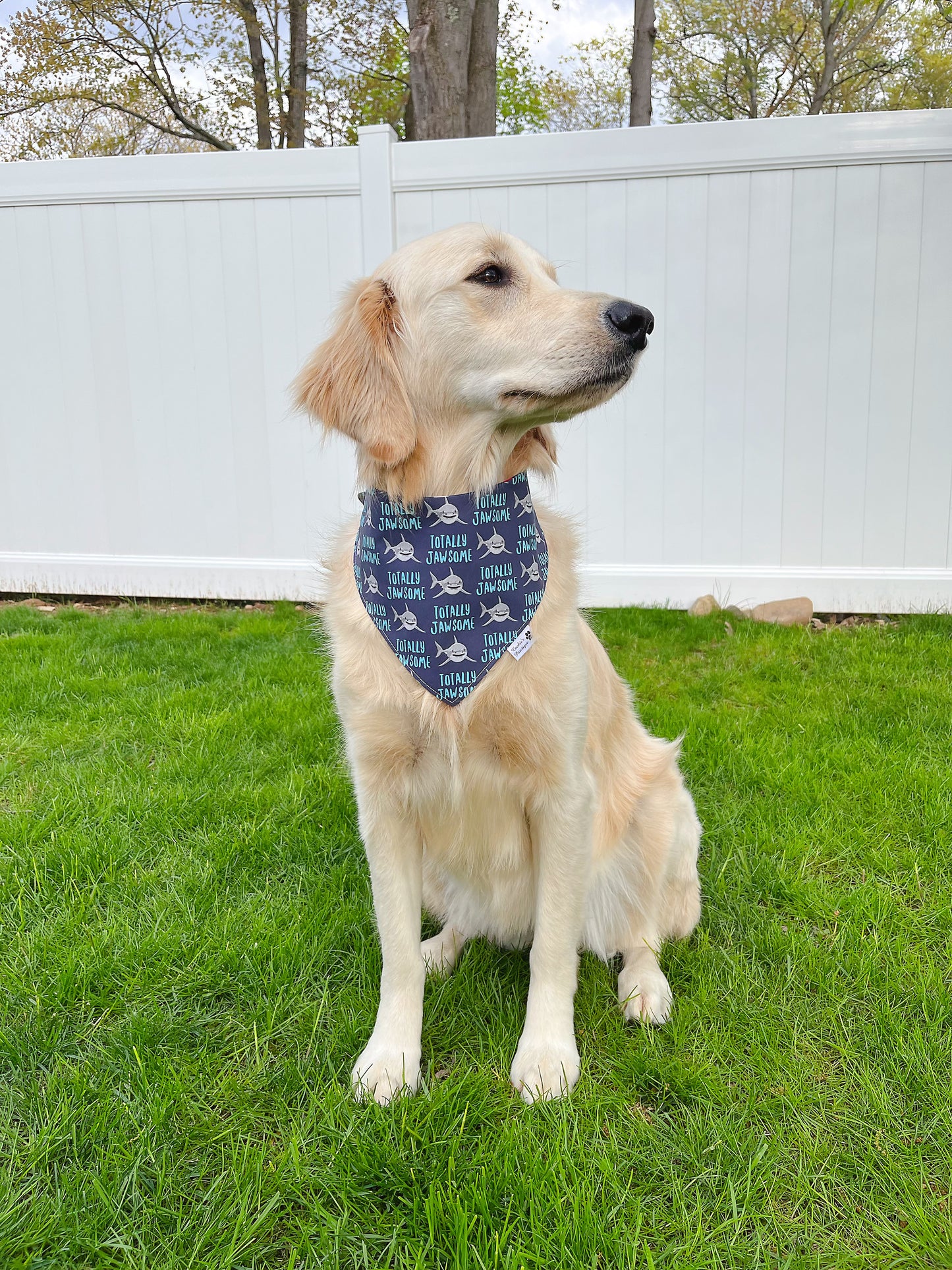 Totally Jawsome And Go Sailing Bandana