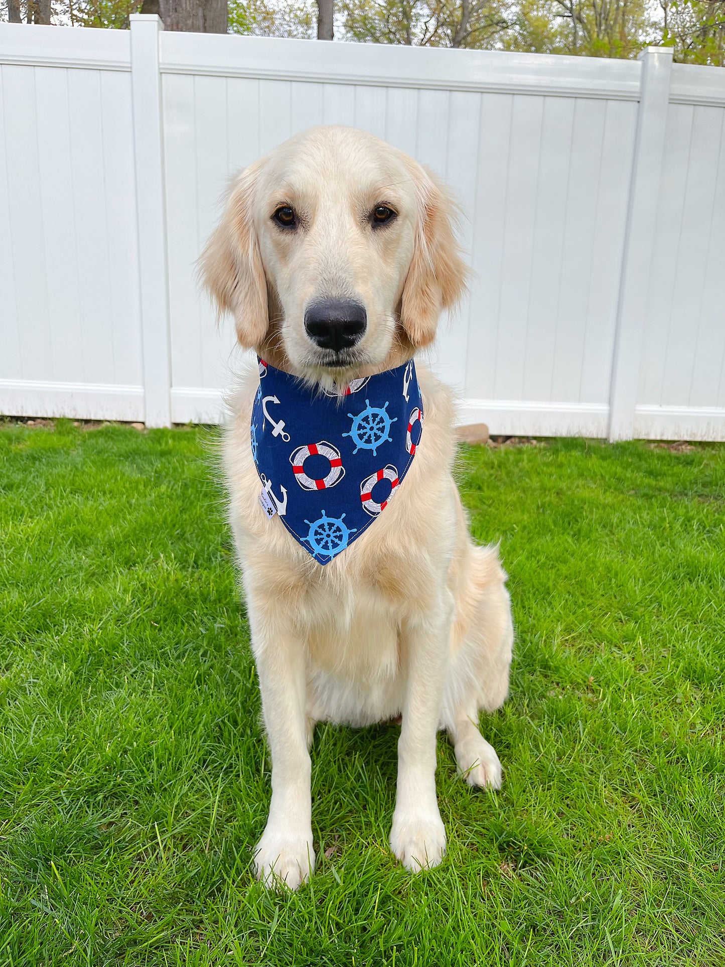 Totally Jawsome And Go Sailing Bandana