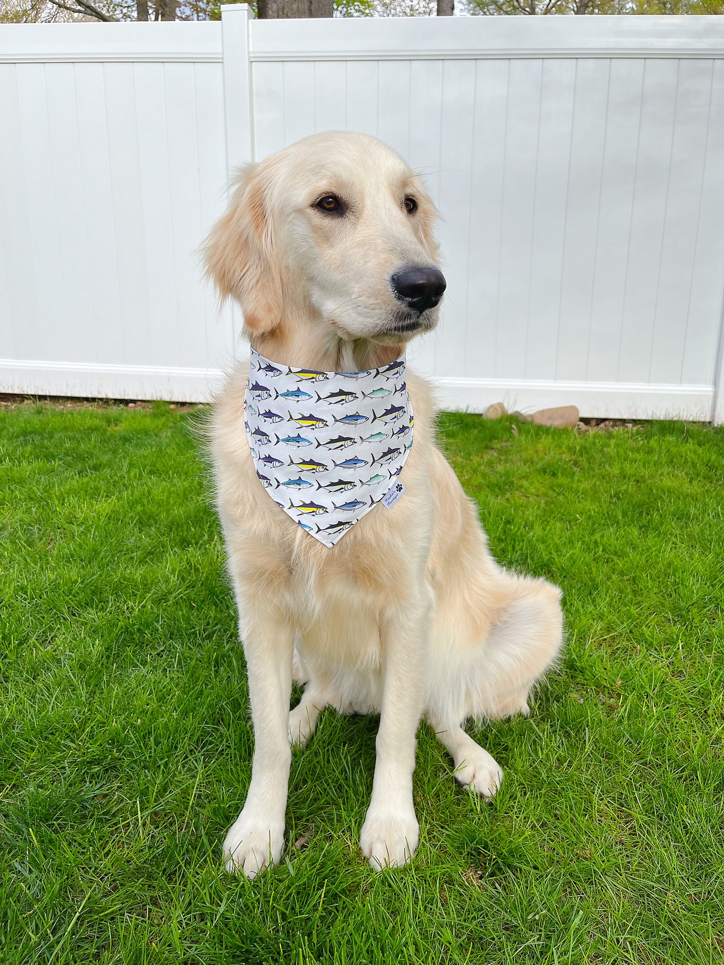 It's Fishing Time Bandana